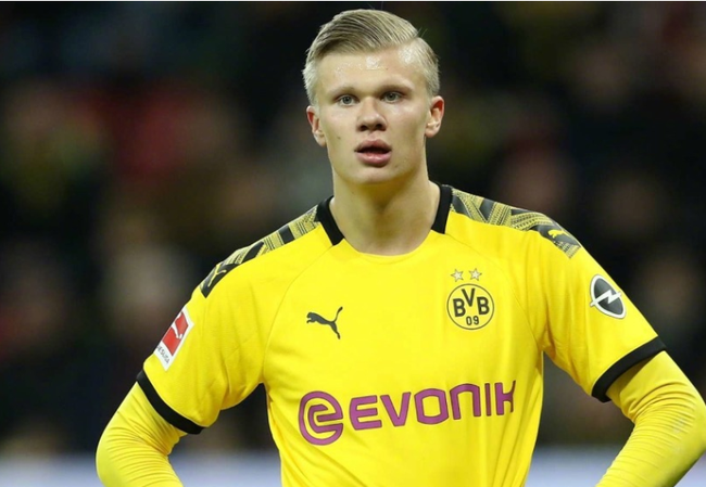 发售时间向 发售时间向