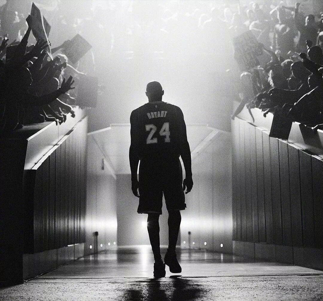 迁徙与分化 迁徙与分化